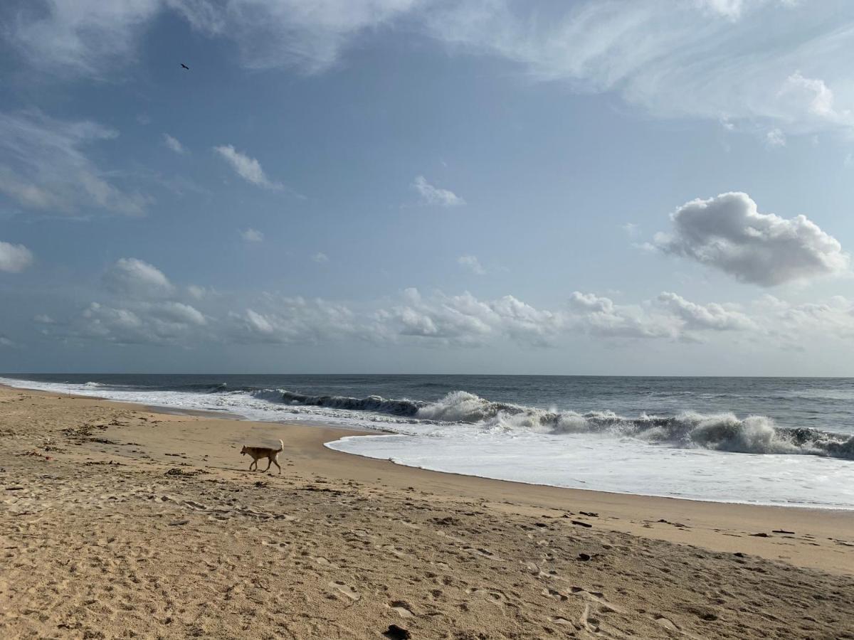 Peacock Villa Marari Beach Mararikulam Eksteriør billede